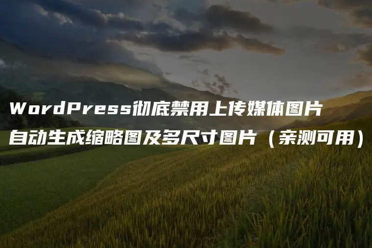 图片[1]-WordPress 彻底禁用上传媒体图片自动生成缩略图及多尺寸图片-淇云博客-专注于IT技术分享
